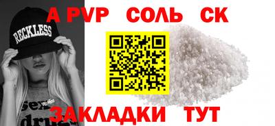бошки Кингисепп