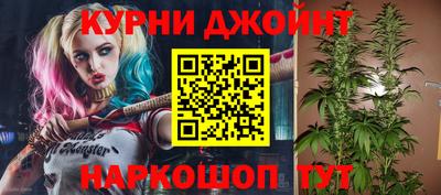 бошки Кингисепп