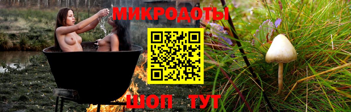 Псилоцибиновые грибы прущие грибы  Вход с VPN  Кувандык  Галлюциногенные грибы прущие грибы 
